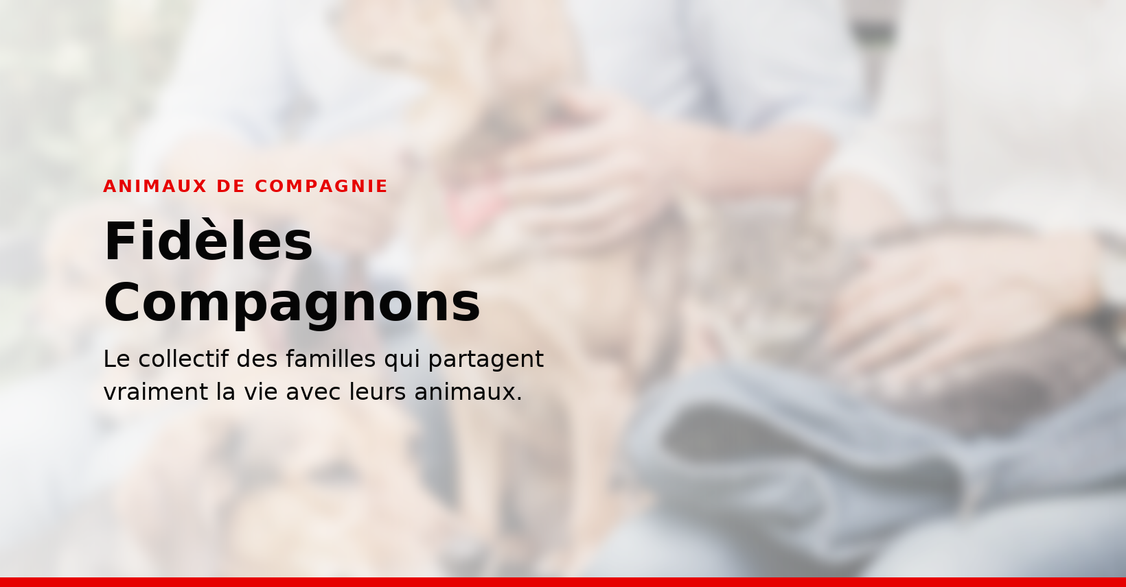 Fidèles Compagnons